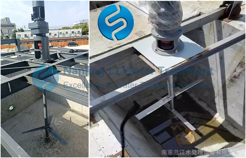 1775522641111624.jpg 三叶两叶3.jpg